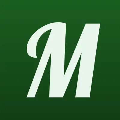 Микроденьги, микрокредитная компания, лого-визитка
